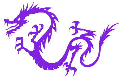 Dragon Network