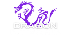 Dragon Network